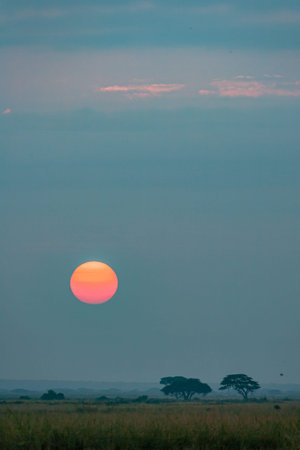 Azure sunset in Amboseli, Kenya, Africaの写真素材