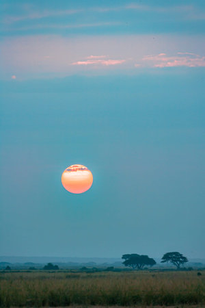 Azure sunset in Amboseli, Kenya, Africaの写真素材