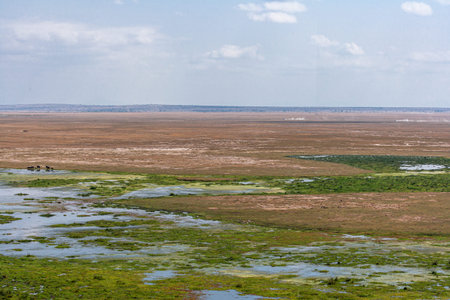 A view of the Amboseli plains and waters from a low hill. Kenyaの写真素材