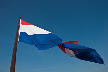 waving flags of Holland against the blue skyの写真素材