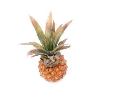the fresh pineapple on the white backgroundの写真素材