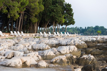 loungers and pine trees on the rocky beaches of the Adriaticの写真素材