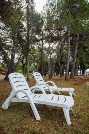 loungers in the pine grove on the Adriatic coast