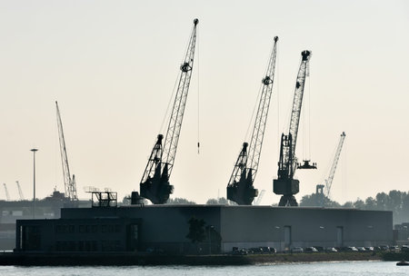 in the Rotterdam sea cargo port - skyline