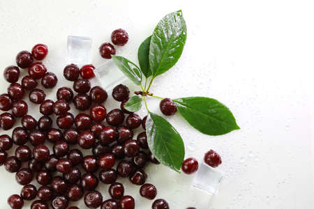 Ripe cherries are scattered on a white surface with a sprig of cherry leaves, in drops of water with ice cubes. Flat lay with copy spaceの写真素材