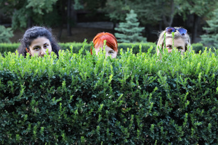 Selective focus on faces of three young women of different ethnicity peeping out from behind cutting green bush in park with copy spaceの写真素材