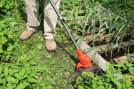 Man mow path next to garden bed using electric trimmer, on sunny day