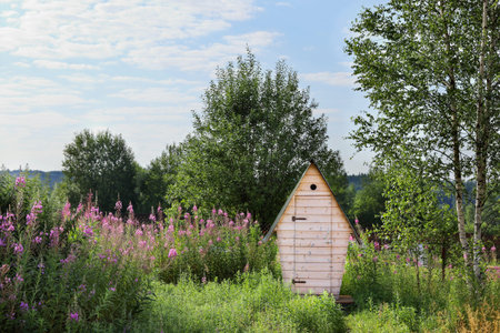 Rural outdoors toilet in nature on sunny day with copy space
