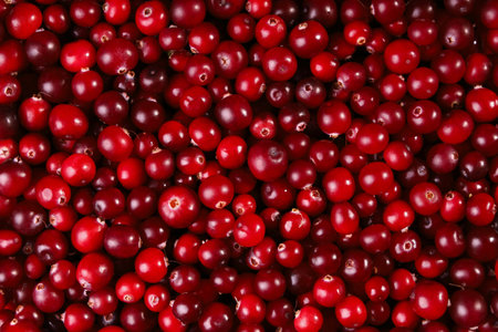 Cranberry red food background, vitamin harvest, closeup of level surface