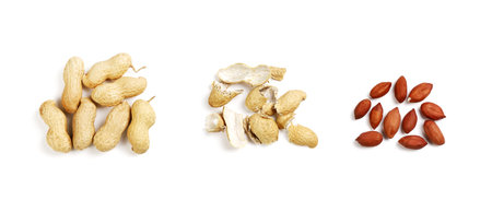 Group of peanut nuts separately from shell and whole peanut beans, isolated on white background