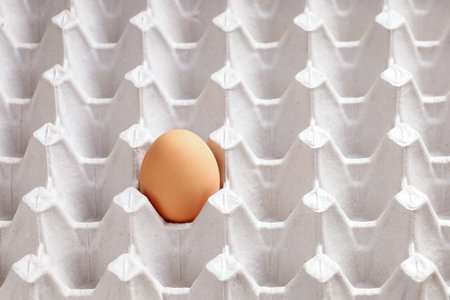 Alone perfect chicken brown egg in cell of egg box, concept of loneliness, perfection of the shape...