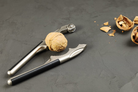 Nutcracker broken about solid walnut, durable shell, close-up on dark background next to other open...