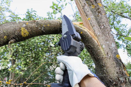 Textured surface, Hand holds light chain saw with battery to trim broken branch of an apple tree, in...