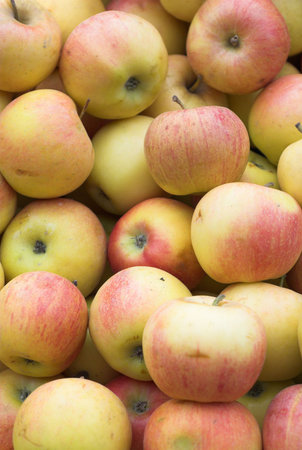 yellow apples at the local market