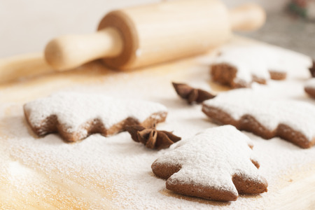 christmas gingerbread cookies baking process , dough and rolling pin,shallow depth of field.の写真素材