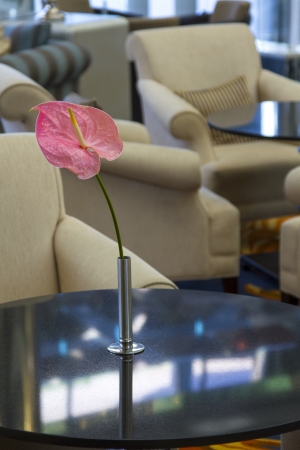 Pink flower in a vase on a table in the hotel hallの写真素材