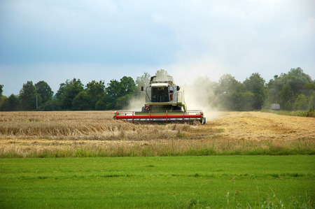 Combine harvester at work harvesting a field of wheat.の写真素材