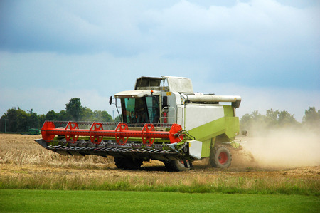 Combine harvester at work harvesting a field of wheat.の写真素材