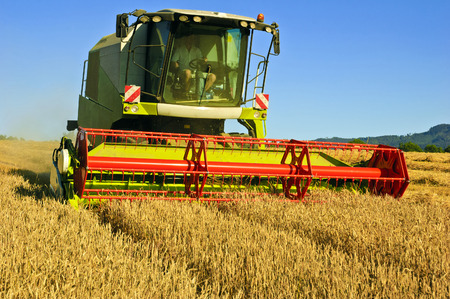 Combine harvester at work harvesting a field of wheat.の写真素材