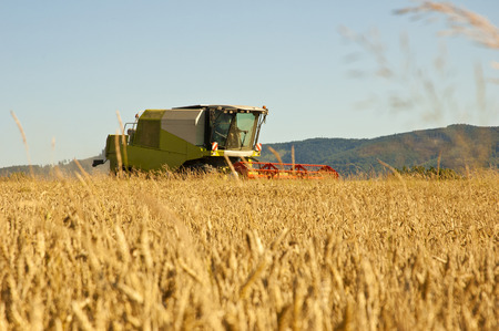 Combine harvester at work harvesting a field of wheat.の写真素材
