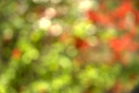 Abstract nature background の写真素材