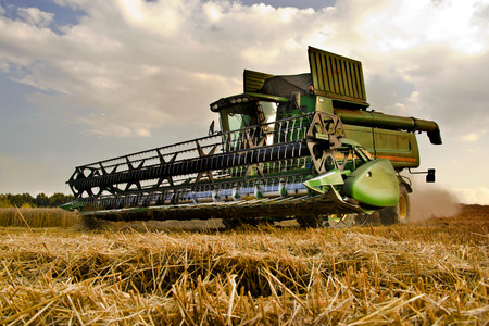 Combine harvester at work harvesting a field of wheat.の写真素材