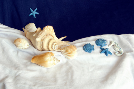 the conposition in a marine styleの写真素材