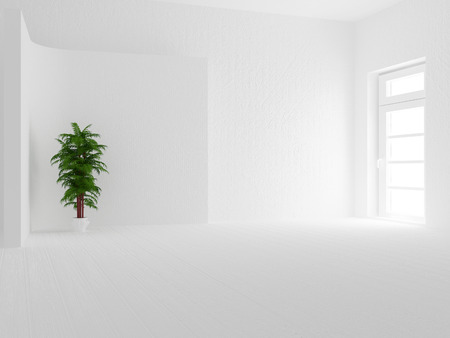 green plant in the room, 3d renderingの写真素材