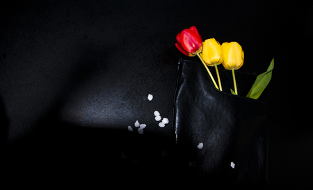 beautiful tulips and black bag, interesting backgroundの写真素材