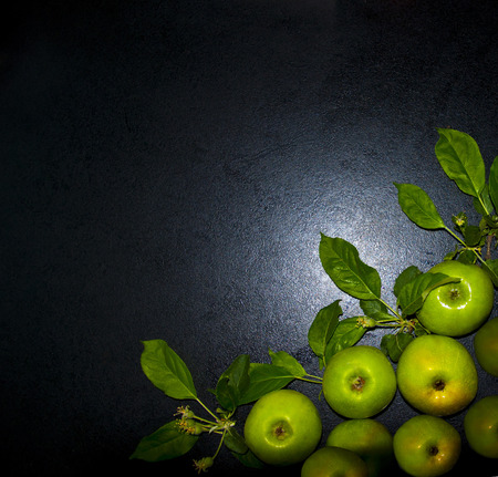 green apples with the leaves on the dark backgroundの写真素材