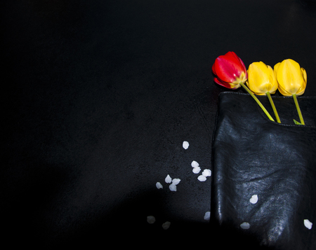 beautiful tulips and black bag, interesting backgroundの写真素材