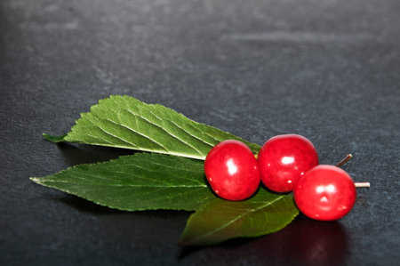 red berries on the black background,