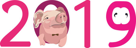 Christmas card, vector graphics, piggy in the hat, 2019 new year