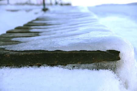 wood in iceの写真素材