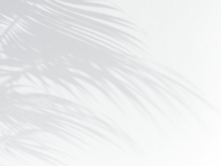 3d illustration of shadow laying on stucco wall