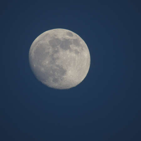 Full moon in the evening on a blue backgroundの写真素材