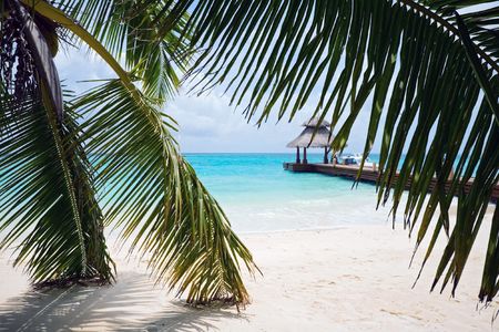 Looking through the palm leaves on a tropical white sand beachの写真素材