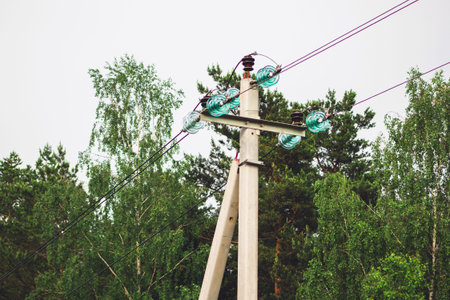 Electric power lines