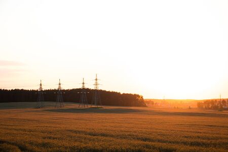 Bright sunset over the fieldの写真素材