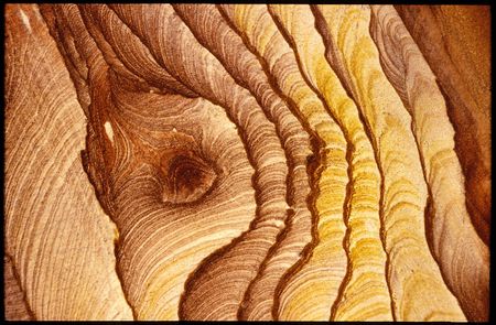 An unusual carved bright woodの写真素材