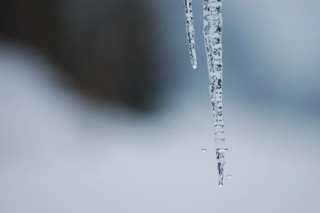 A thawing clear ice icicle の写真素材