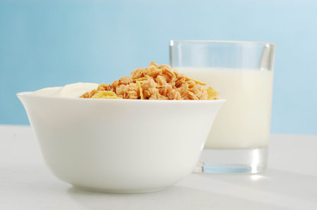 A dish of cereal and yoghourt with milk