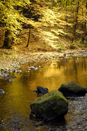 A stream in the autumnの写真素材
