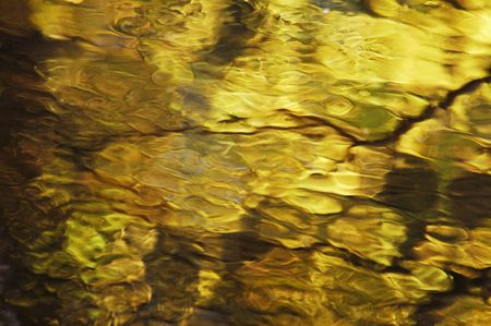Water surface in wood in autumnの写真素材