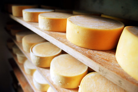The chees in line in shelving in Nebaj.