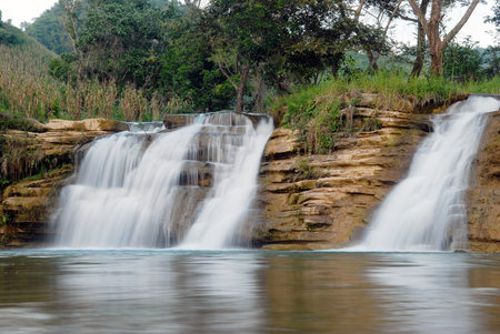 The scenery of waterfalls and deciduous tree.の写真素材