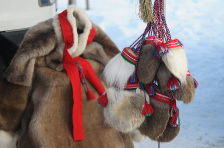 The product from leather - the north Norge.の写真素材