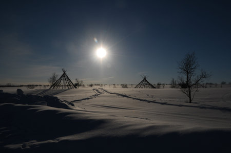 The contruction of Sami tent - north Norway.