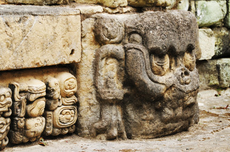 View at mayan glyphs in Copan Ruinas
