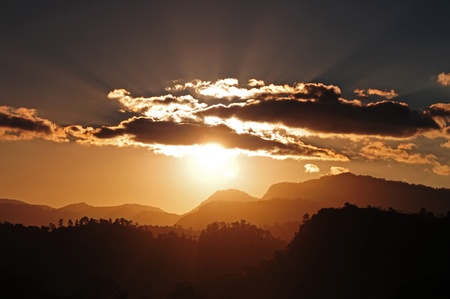 Copan´s jungle in Honduras after the sunsetの写真素材